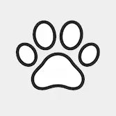 Pet Supplies