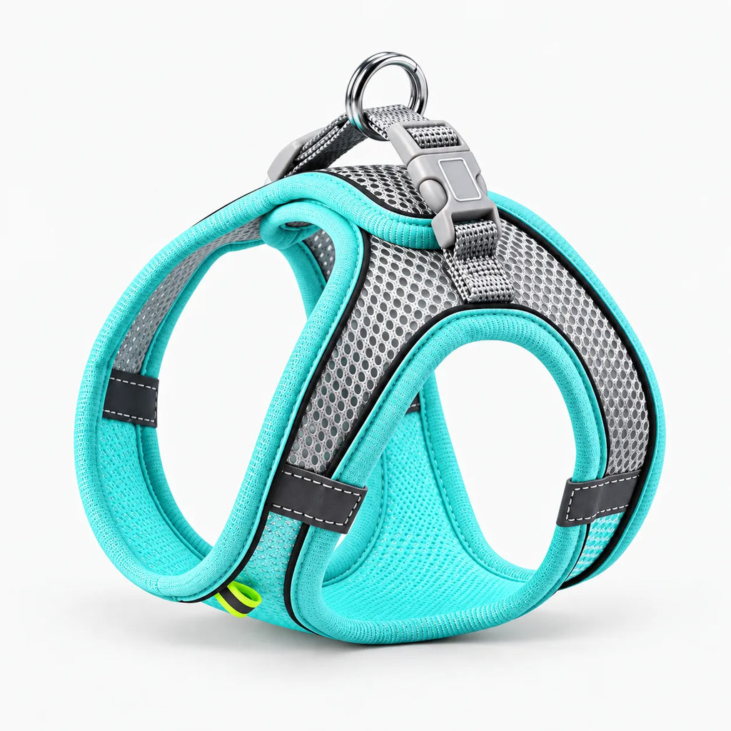 Reflective Cat & Dog Harness with Lead