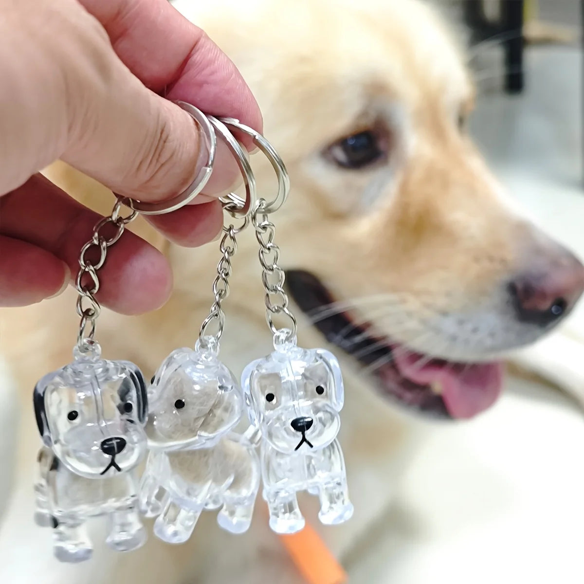 Pet Hair Keepsake Storage Capsule