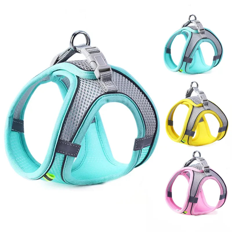 Reflective Cat & Dog Harness with Lead