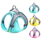 Reflective Cat & Dog Harness with Lead