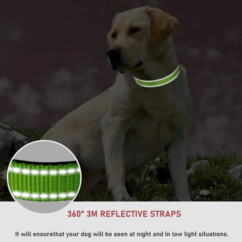 Reflective Adjustable Nylon Dog Collar