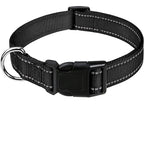 Reflective Adjustable Nylon Dog Collar