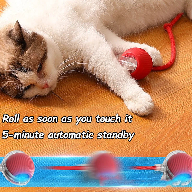 Interactive Rolling Ball Cat Toys – 2 Pack