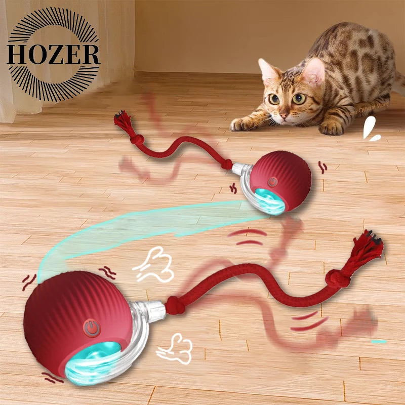 Interactive Rolling Ball Cat Toys – 2 Pack