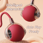 Interactive Rolling Ball Cat Toys – 2 Pack