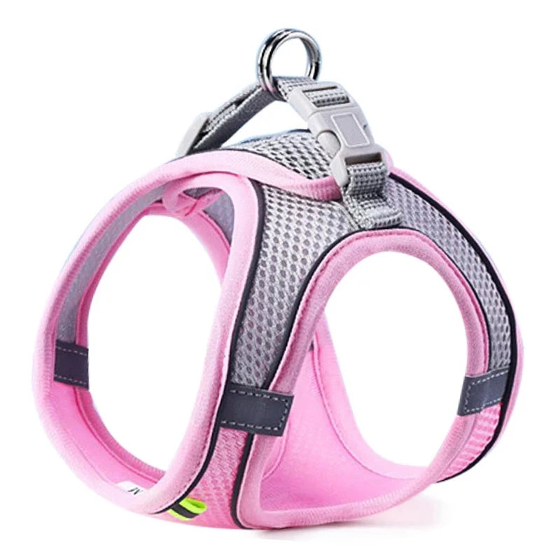 Reflective Cat & Dog Harness with Lead