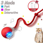 Interactive Rolling Ball Cat Toys – 2 Pack