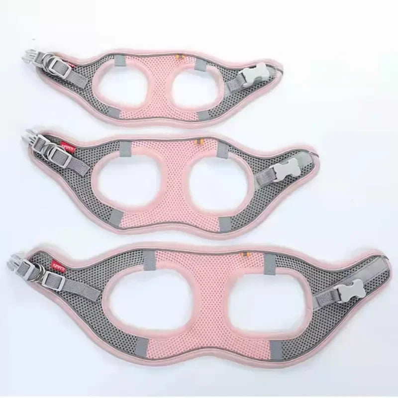 Reflective Cat & Dog Harness with Lead