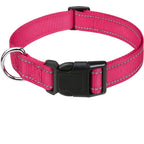 Reflective Adjustable Nylon Dog Collar