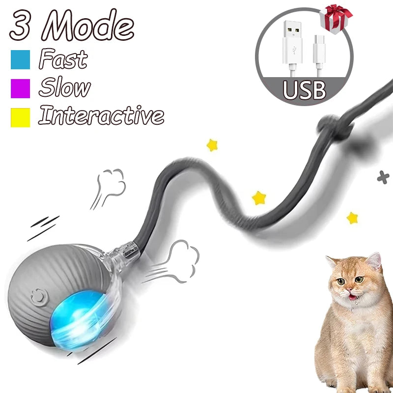 Interactive Rolling Ball Cat Toys – 2 Pack