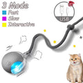 Interactive Rolling Ball Cat Toys – 2 Pack