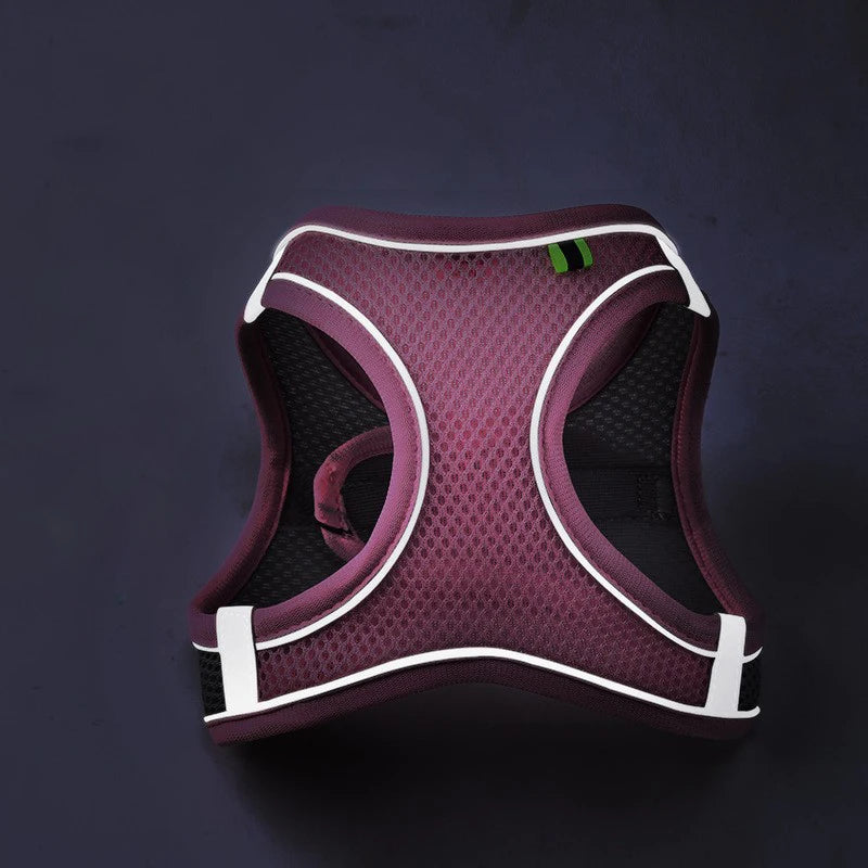 Reflective Cat & Dog Harness with Lead