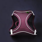 Reflective Cat & Dog Harness with Lead