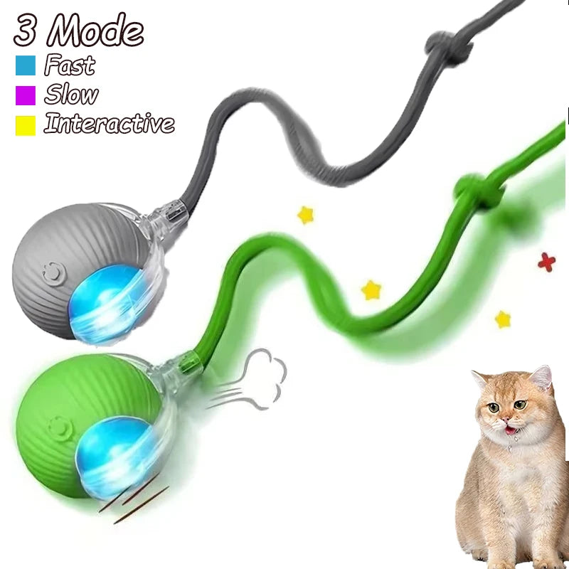 Interactive Rolling Ball Cat Toys – 2 Pack