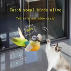 Interactive Bird-Sound Cat Toy