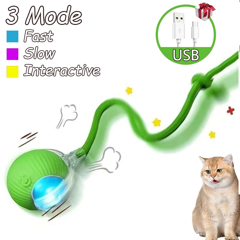 Interactive Rolling Ball Cat Toys – 2 Pack