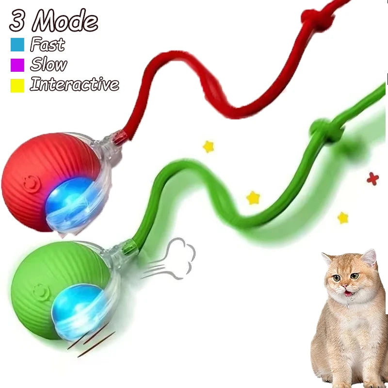 Interactive Rolling Ball Cat Toys – 2 Pack