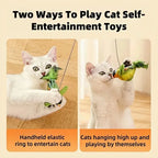 Interactive Bird-Sound Cat Toy