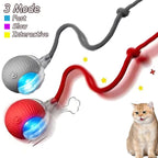 Interactive Rolling Ball Cat Toys – 2 Pack
